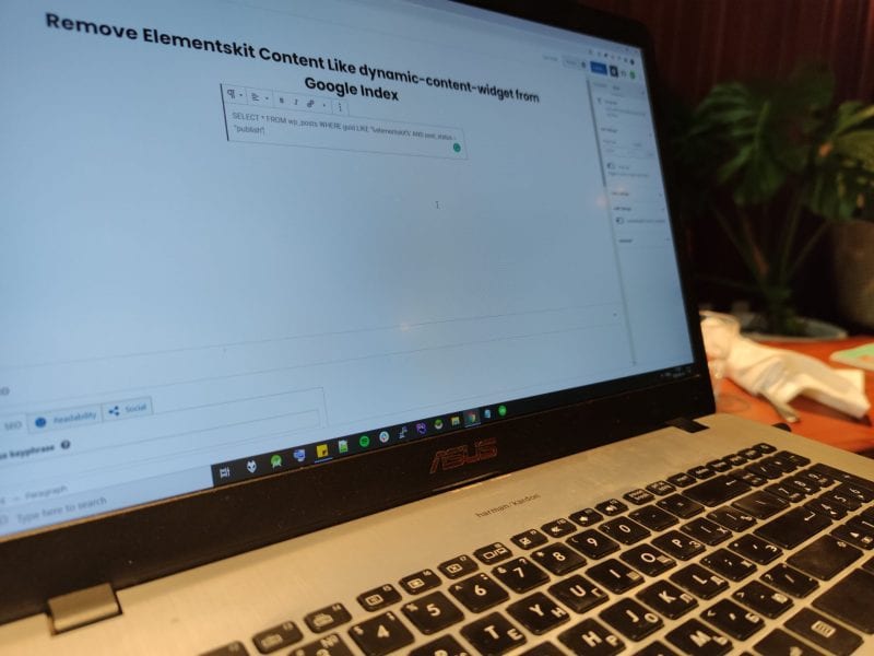 Remove  dynamic-content-widget elementskit_template and Other Elementskit Content From Google Index